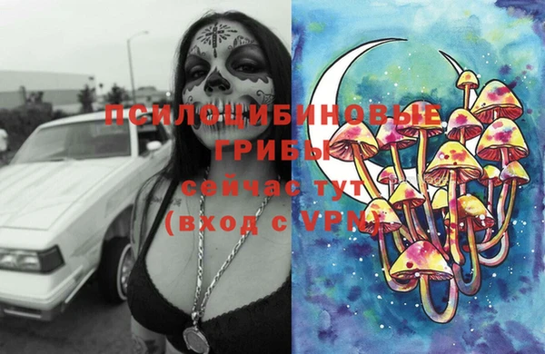 прущая мука Алзамай