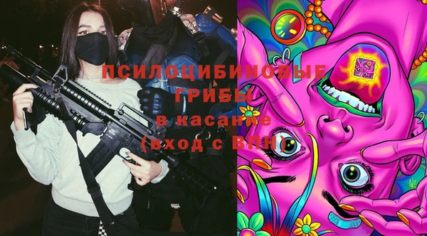 дурь Алексин
