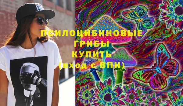 дурь Алексин
