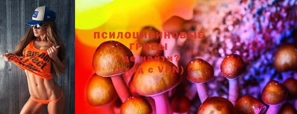прущая мука Алзамай