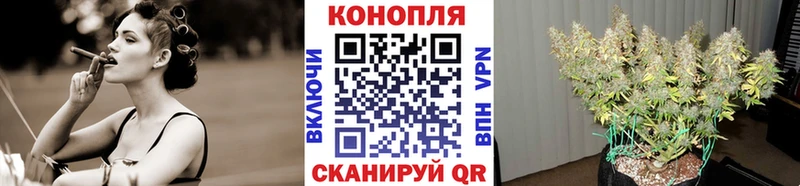 Купить где  Советск  Конопля SATIVA & INDICA 